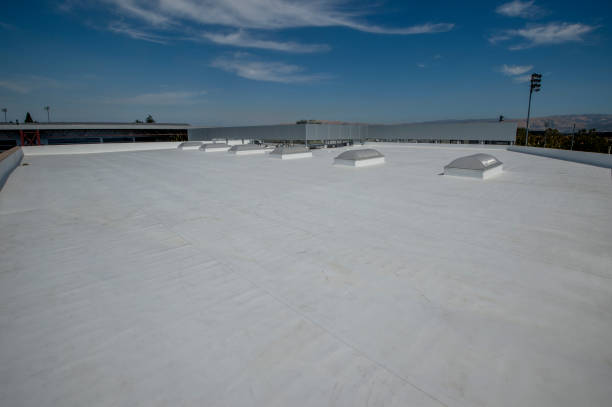 Best Green or Eco-Friendly Roofing Solutions  in Capitan, NM