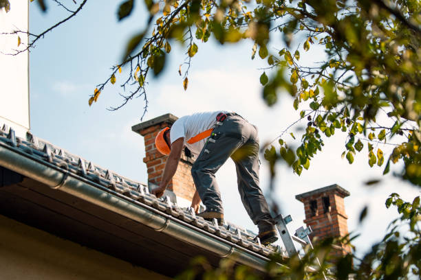 Best Sheet Metal Roofing  in Capitan, NM