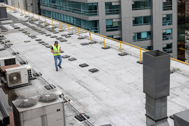 Best Roof Insulation Installation  in Capitan, NM