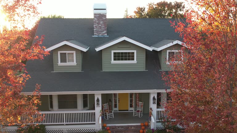 Best Solar Panel Roofing Installation  in Capitan, NM